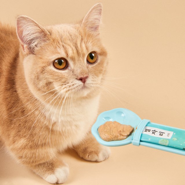 코숏만세 츄르 스푼