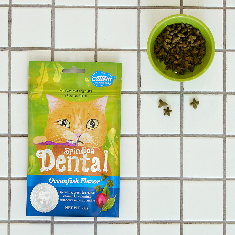 캣템 스피루리나 덴탈 오션피쉬 60g