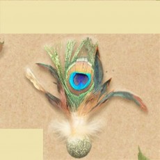 캣완트 공작깃털 캣닢볼
