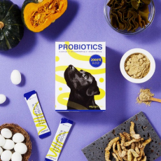 위그힐 프로 바이오틱스 30개입 