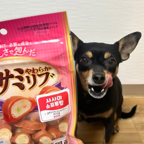 도기맨 사사미 소프트립 80g