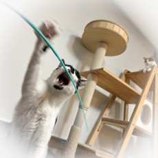 캐티맨 시골쥐꼬리 스틱 낚시대